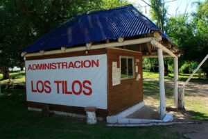 los tilos 1